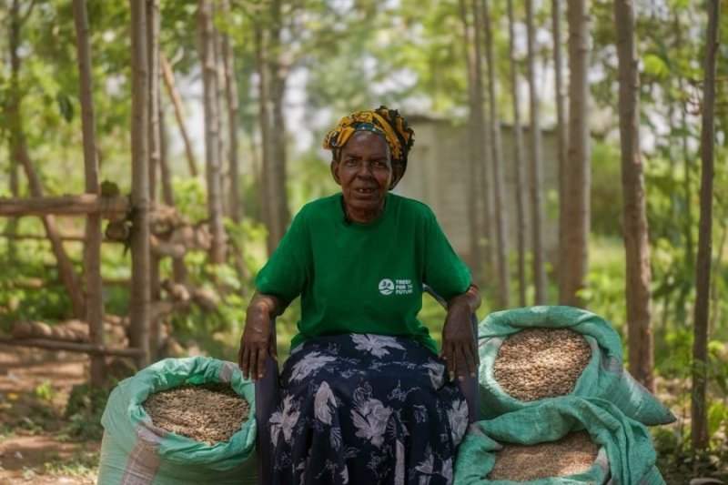 Forging a greener future: Kenyan farmers champion sustainable “food forests”