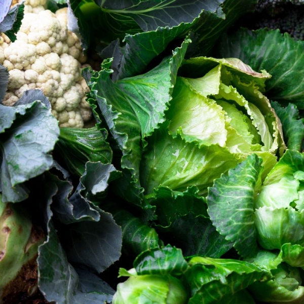 Heart-healthy diet: New research reveals benefits of cruciferous vegetables