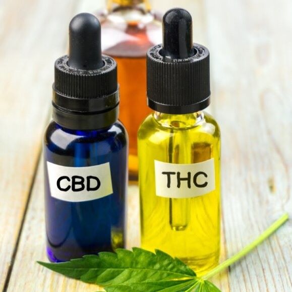 New study to test THC and CBD benefits for dementia-related agitation and anxiety