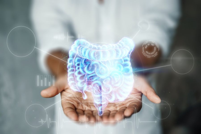 Scientists unlock predictive healthcare with innovative gut microbiome analytical tool