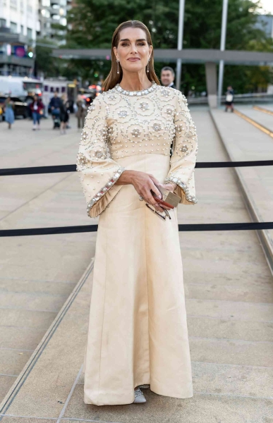 Brooke Shields wore a vintage gown to the New York City Ballet 2024 Fall Fashion Gala. The dress belonged to her mother, Teri, who wore it for an audience with Queen Elizabeth II. See more, here.