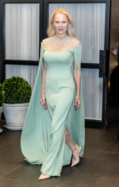 Pamela Anderson stepped out in a bedazzled mint-green column gown with a cape that complemented her subtle makeup look. See her ensemble, here.