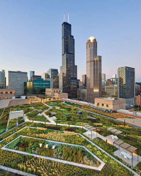 Picnic in This Meadow Atop Chicago's Old Post Office