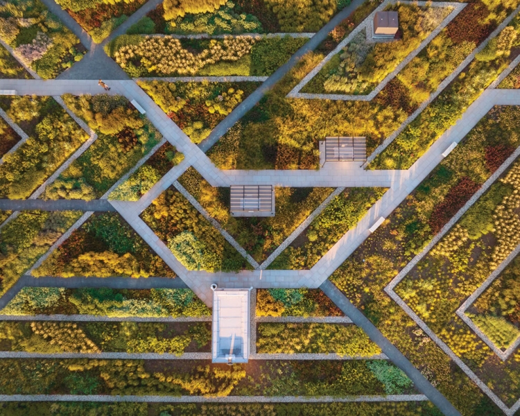 Picnic in This Meadow Atop Chicago's Old Post Office