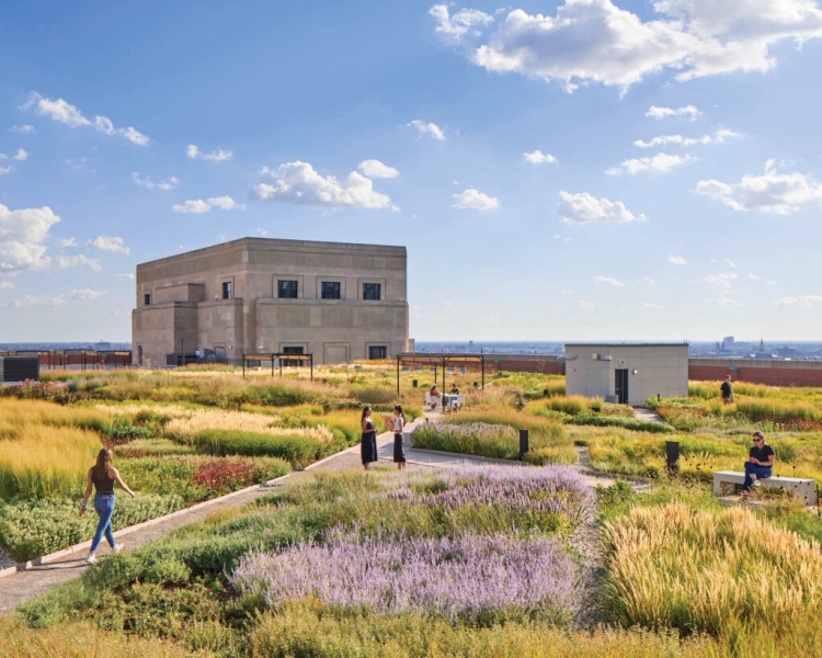 Picnic in This Meadow Atop Chicago's Old Post Office