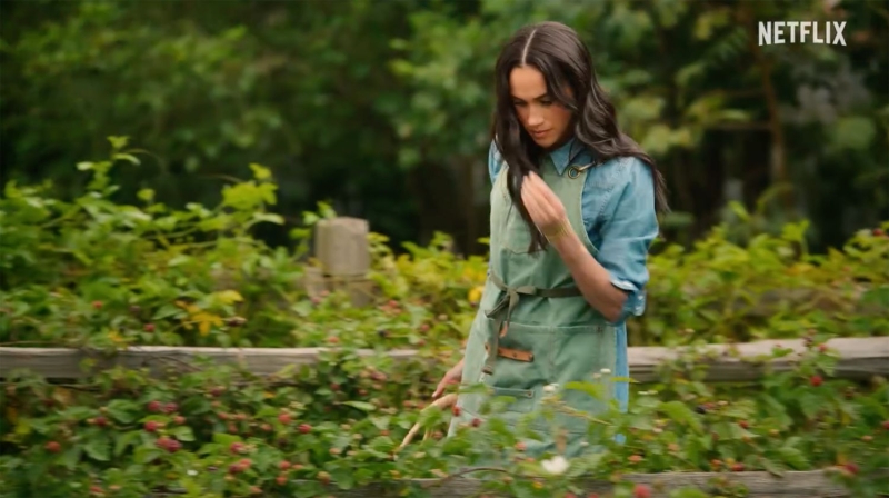 Meghan Markle wore several versions of a classic denim button-down shirt in her upcoming Netflix show, proving that the closet staple is both practical and polished. Shop seven lookalikes of her denim blouse, starting at $29.