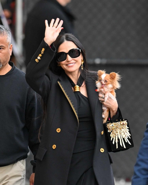 Demi Moore wore a gold-and-black Schiaparelli dress while carrying her iconic dog Pilaf on her way to Jimmy Kimmel.