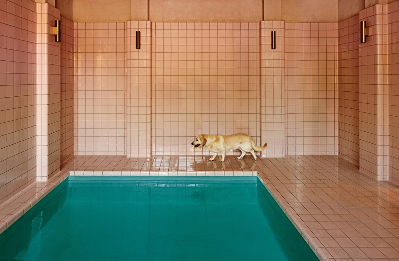 5 Health-Centric Facilities Around The Globe