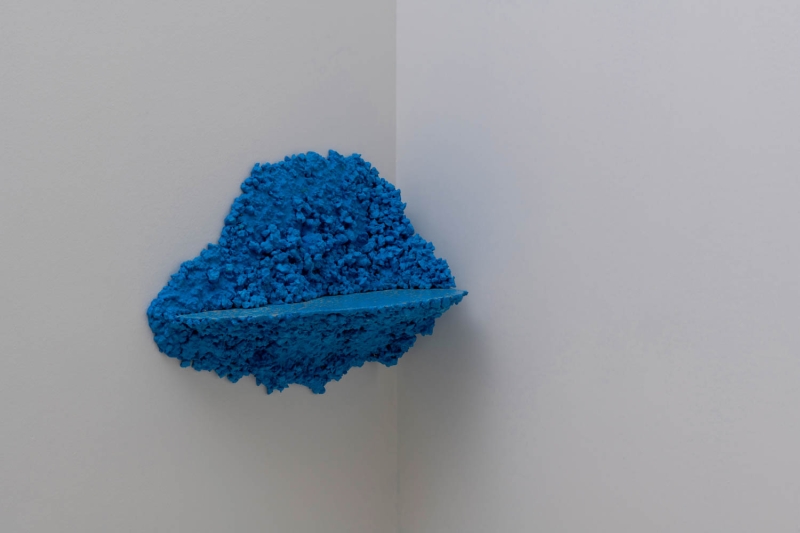 Explore The Interplay Of Design And Nature In This Exhibit