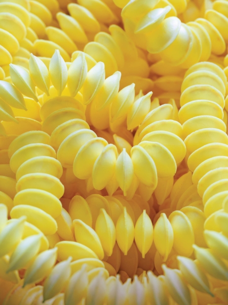 Simone Post Crafts A Sugary-Sweet Installation